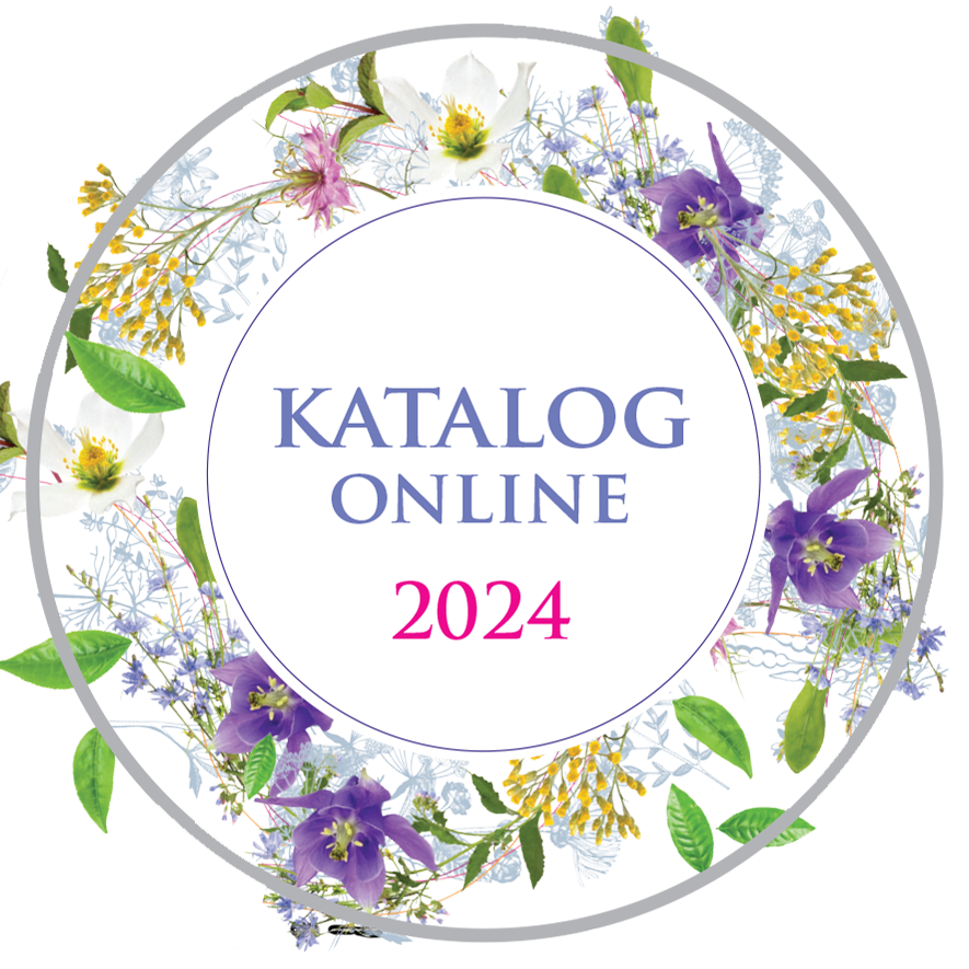 katalog